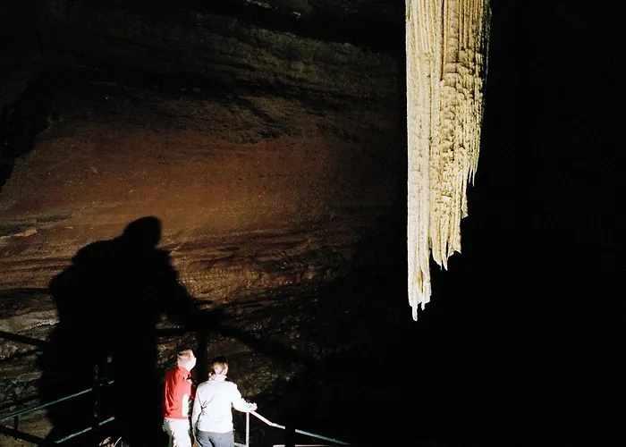 Casa vacanze Town Square Homes *